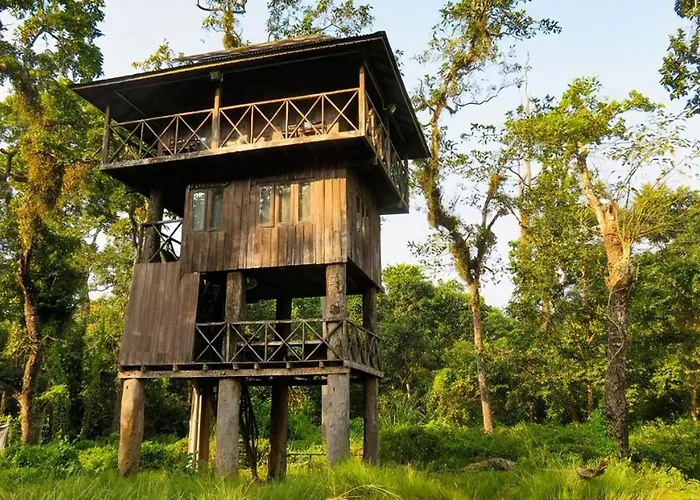 Hotel Nepal Inn Sauraha- Relax And Refresh - A Perfect Family Getaway