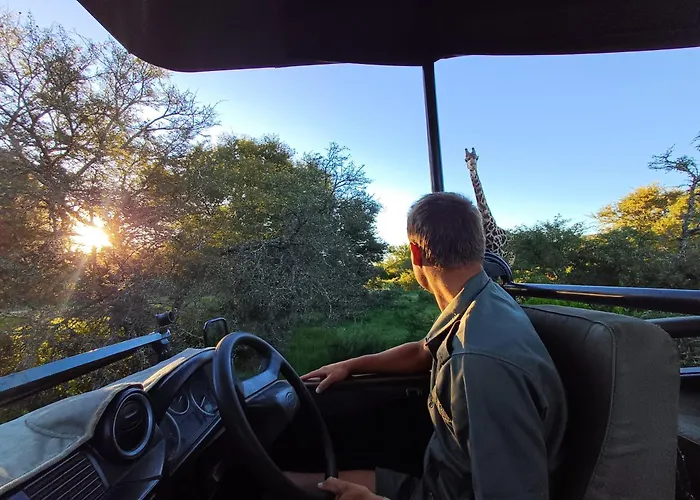 Garden Route Safari Camp