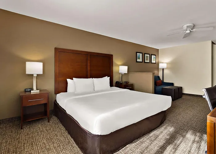 Comfort Inn & Suites Sequoia Kings Canyon