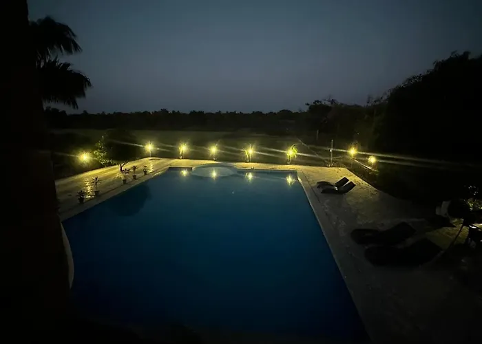 Gir Night Resort