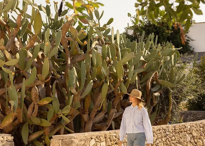 Masseria Malvindi