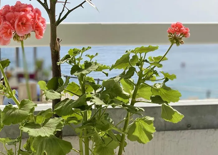 Geo & Art Boutique Hotel Himara