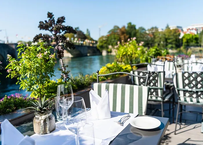 Hotel Schiff Am Rhein