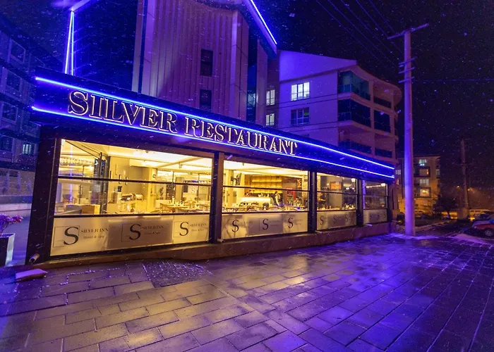 Silver Inn Spa