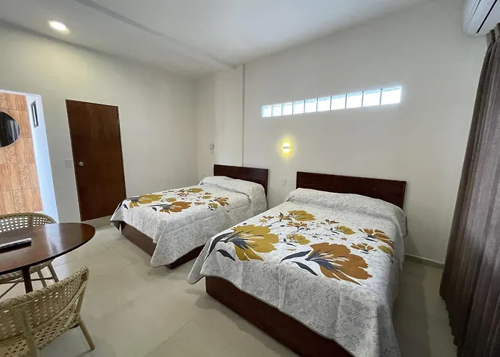 Hotel Allende