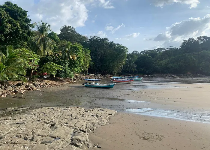Ocekepala