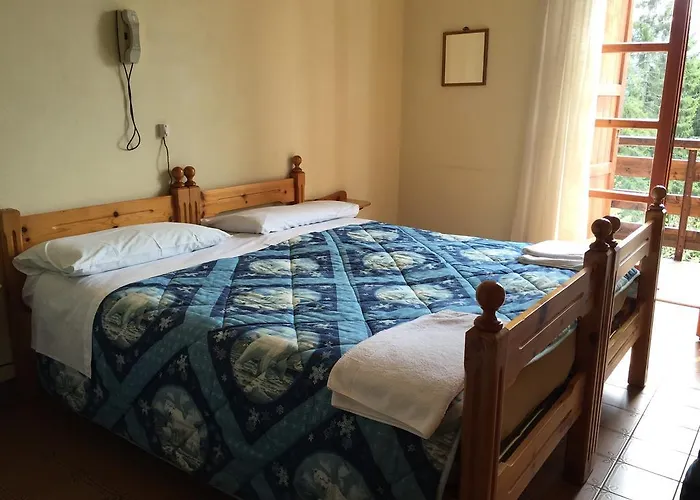 Albergo Ristorante Pineta