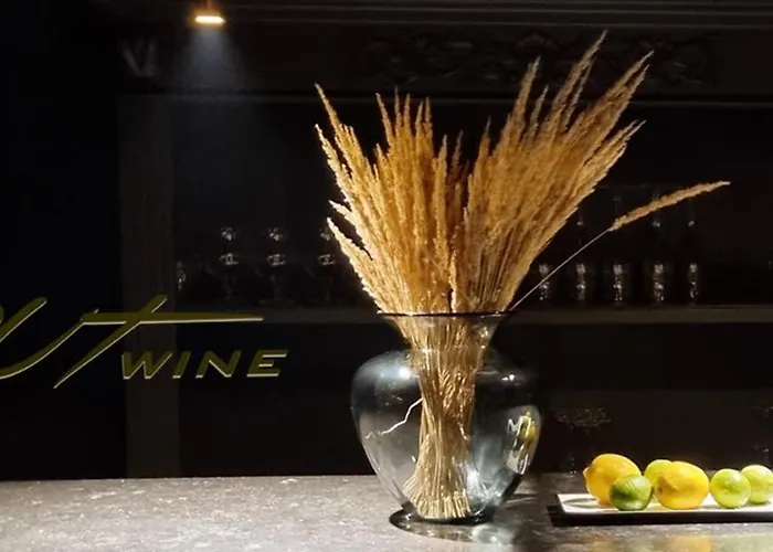 Brut Wine Hotel