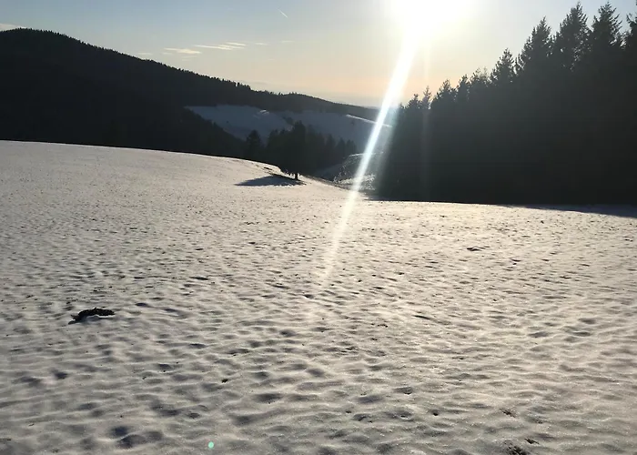 Waldhotel Auerhahn "Hochkopfhaus"