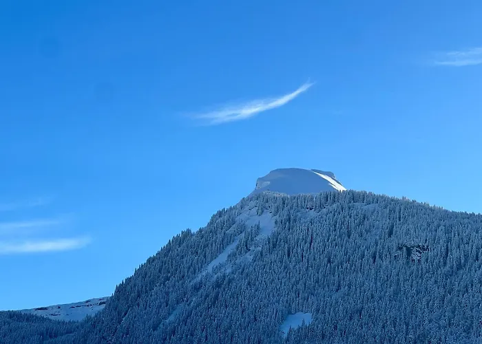 Hôtel Igloo
