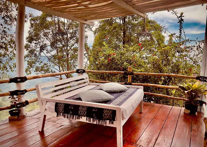 Manulalu Jungle