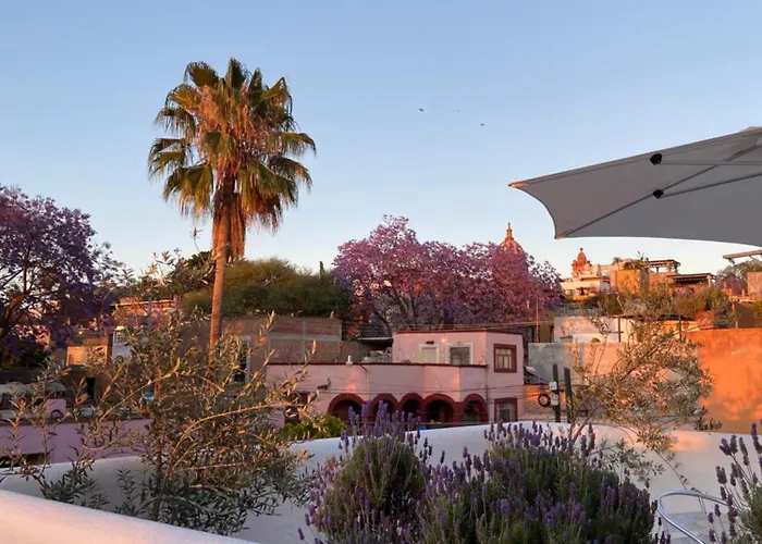 Casa Árbol Hotel