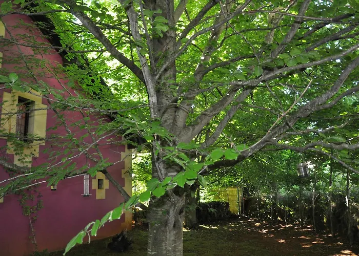 Apartamentos Arcadia