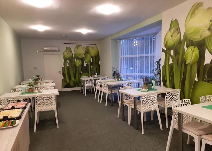 Hotel Borsicanka