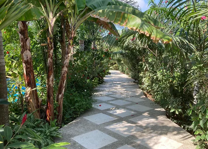 Hotel La Costa International
