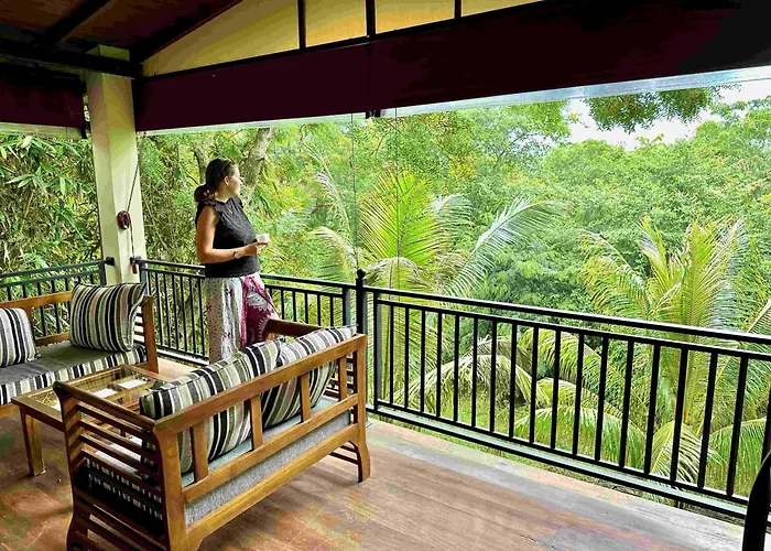 Jungle Paradise