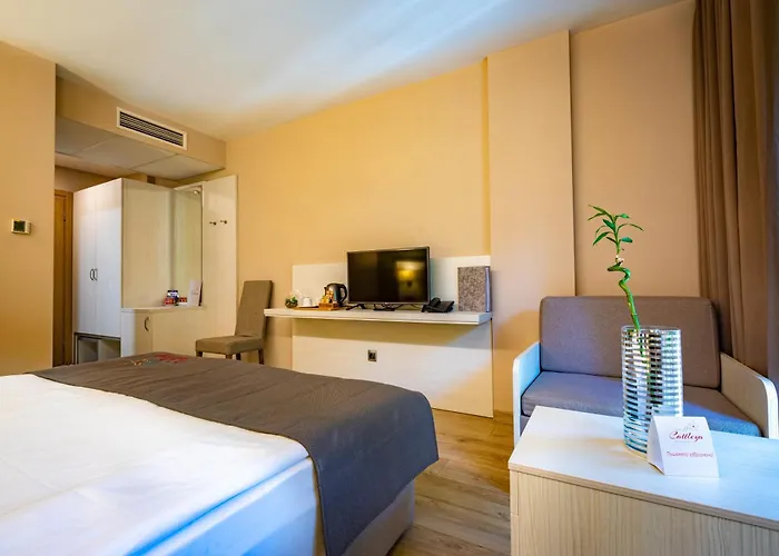 Hotel & Relax Zone Cattleya
