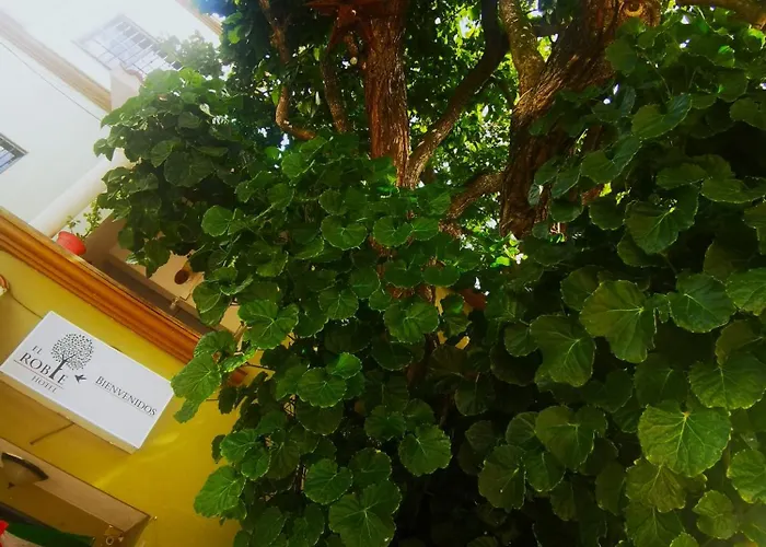 El Roble Hotel