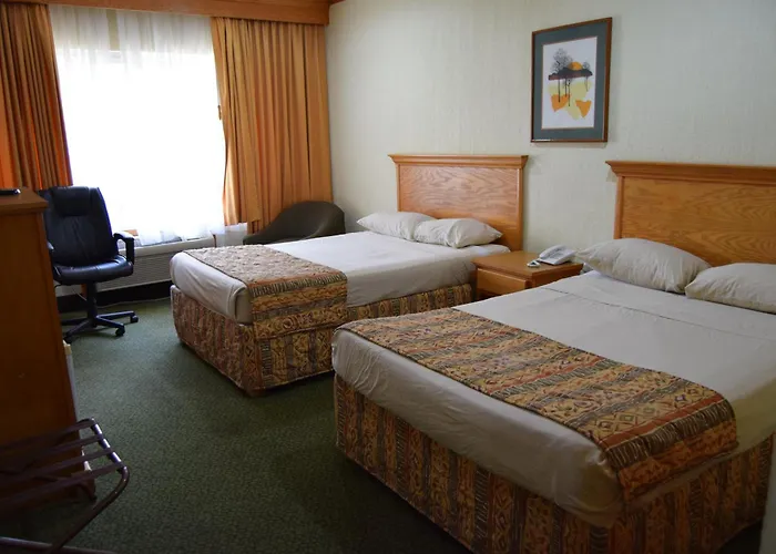 Hotel Sicomoro