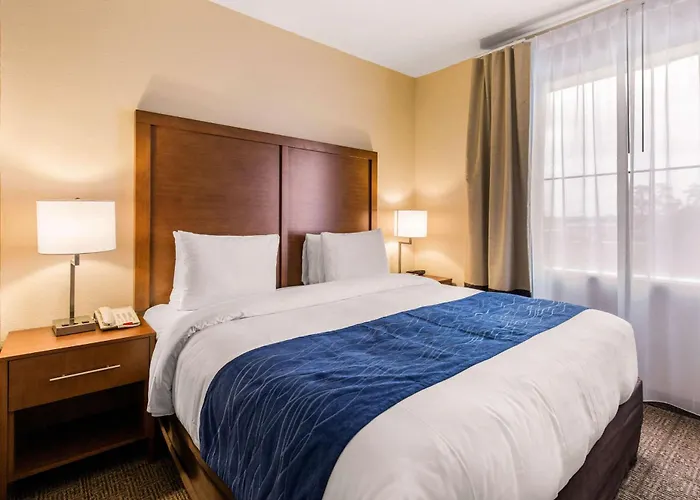 Comfort Suites Humble Bush Intercontinental Airport