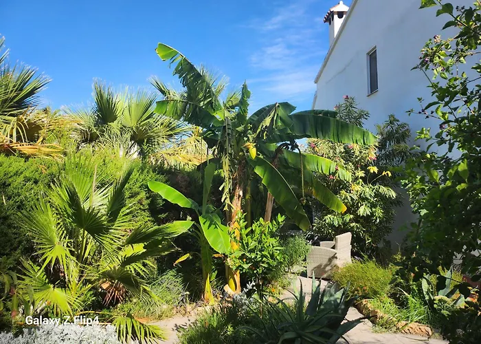Deluxe Studio Athos 50 Mp Garden Patio Benalmadena Golf & Beach