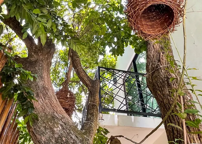 Hotel Kookay Valladolid