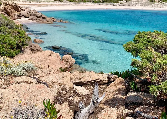 Appart T3 4 Etoiles 4/6 Personnes Porto Vecchio