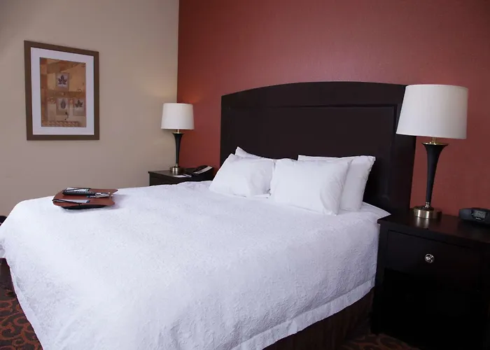 Hampton Inn & Suites Dickinson Nd