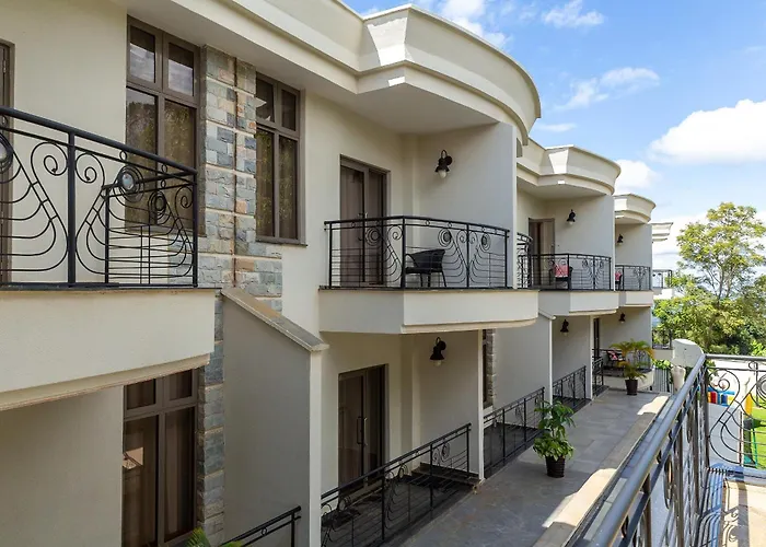 Alba Hotel Meru