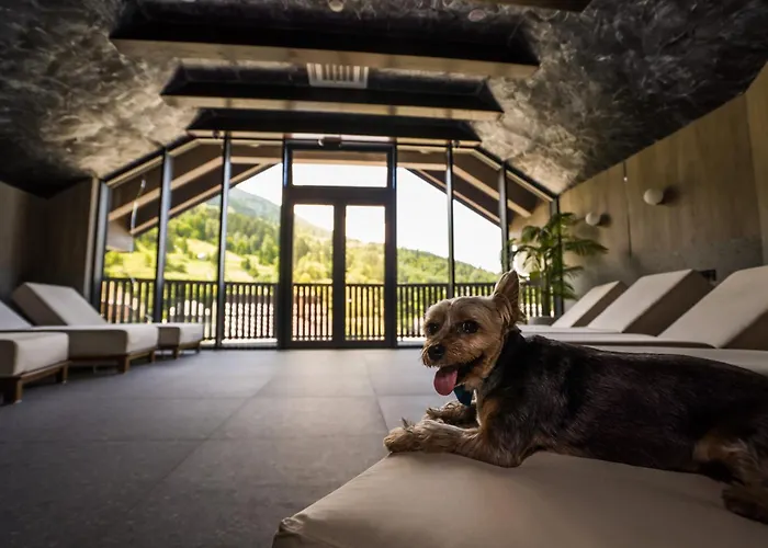 Hotel Roman Maramures - Ski & Spa Resort