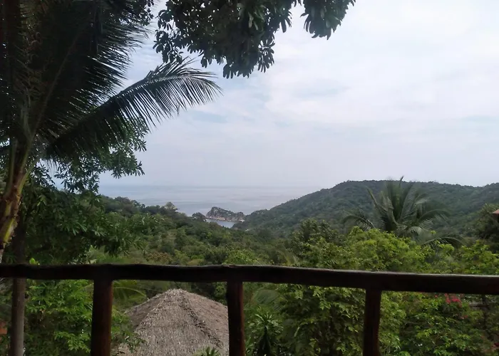 Tree House Bungalows Koh Tao