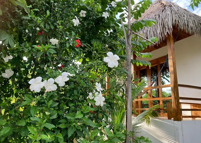 Hotel La Costa International
