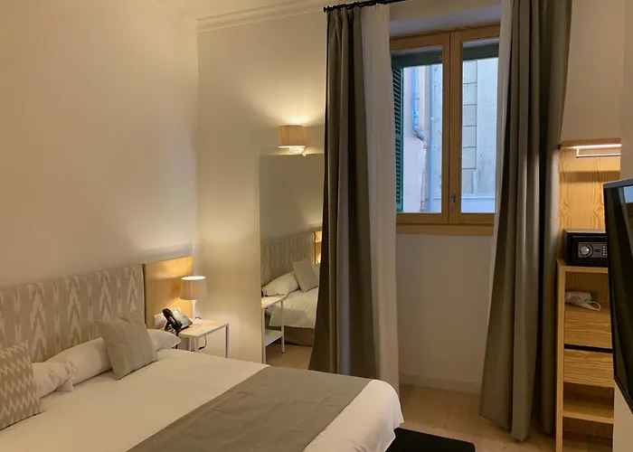 Soller Center