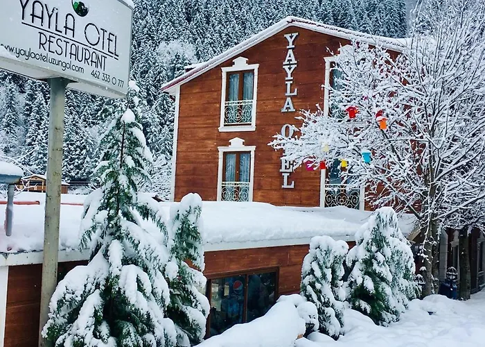 Uzungol Yayla Hotel