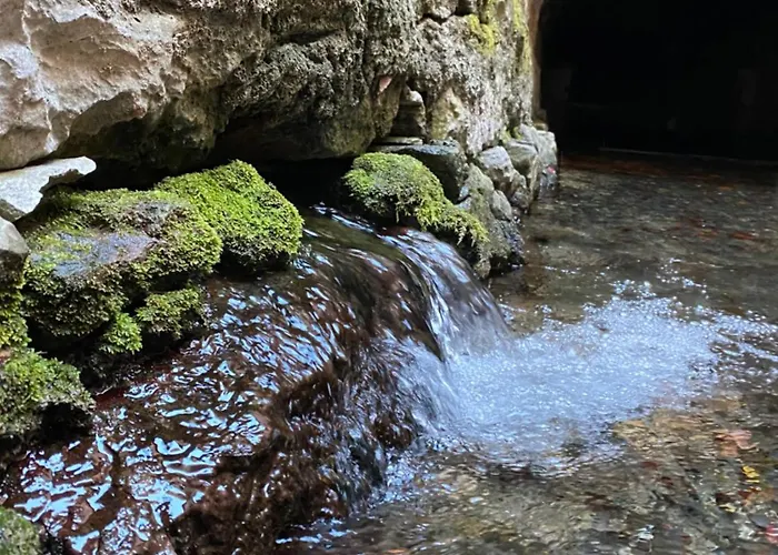 Caserón De La Fuente
