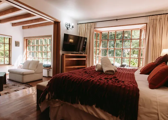 Hotel Posada Del Rio - Parque Metrenehue