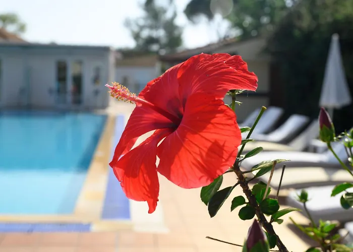 Cavomarina Beach- Adults Only