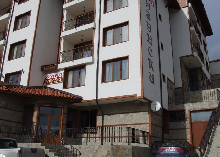 Hotel Uzunski