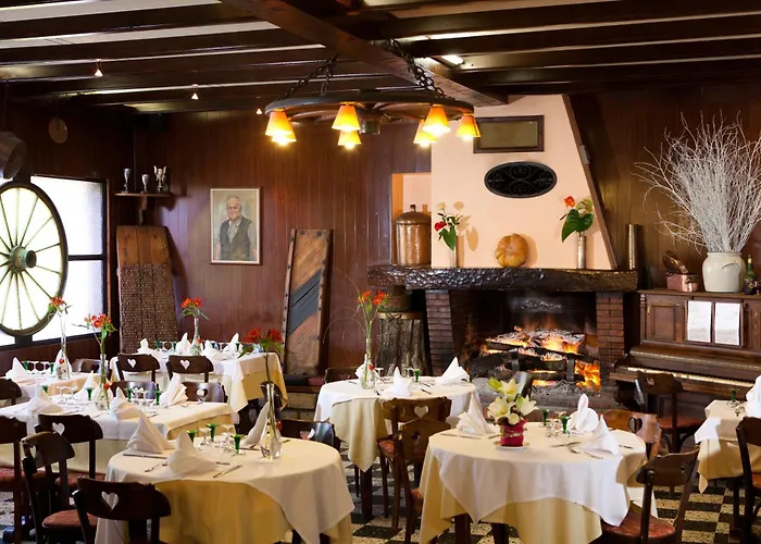 Hôtel Restaurant Pavillon Carina