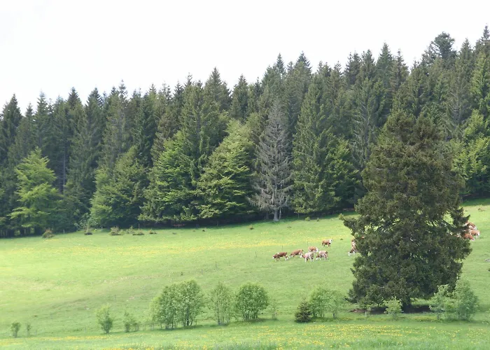 Hotel Gasthaus Hirschen im Hochschwarzwald Todtnau nahe Feldberg