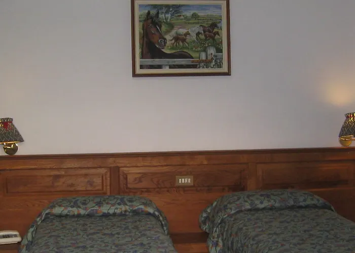 Hotel Villa Plinia