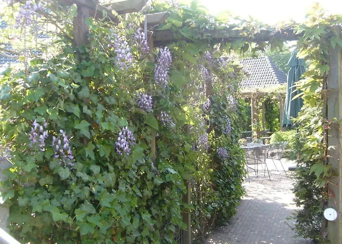 Hotel Norg