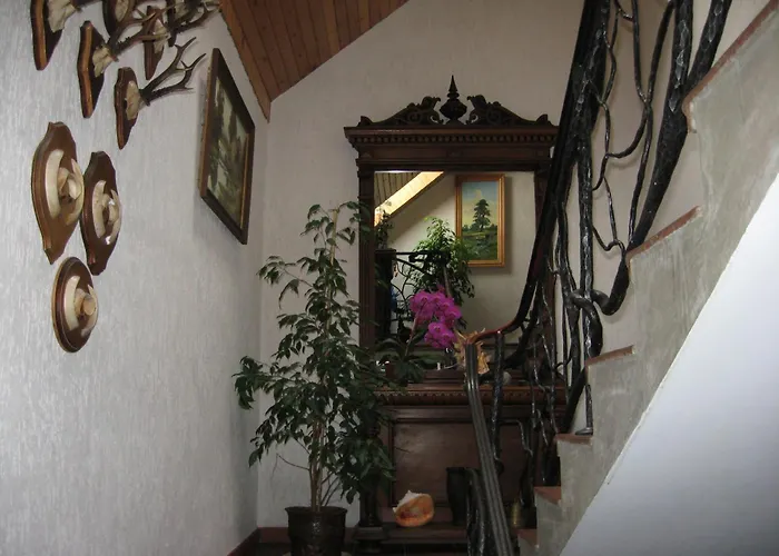 Vila Elvyra