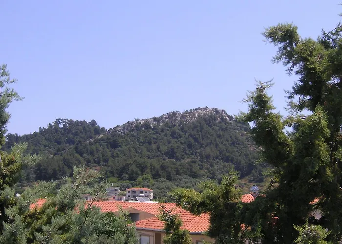 Danae Hotel