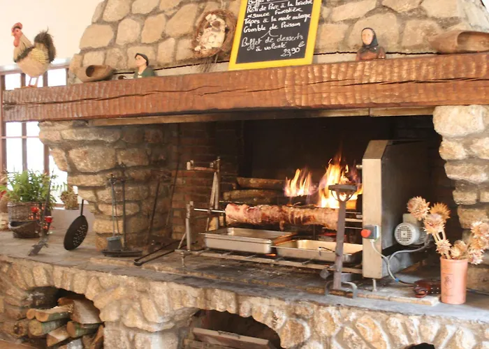 Logis Hotel Restaurant Auberge De L'Espinouse