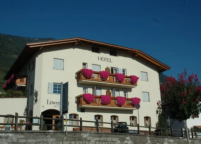 Hotel Löwenwirt