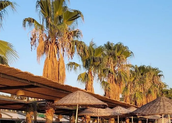 Ambrosia Hotel Beach & Spa