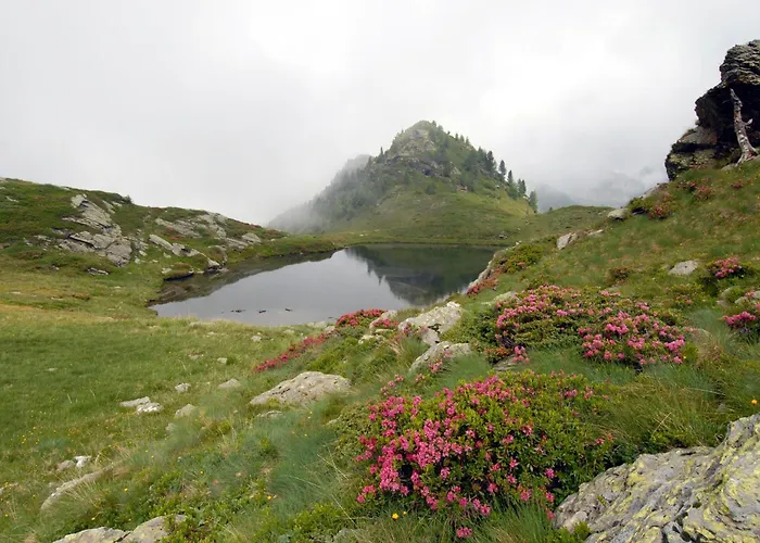 Chalet Nel Doch