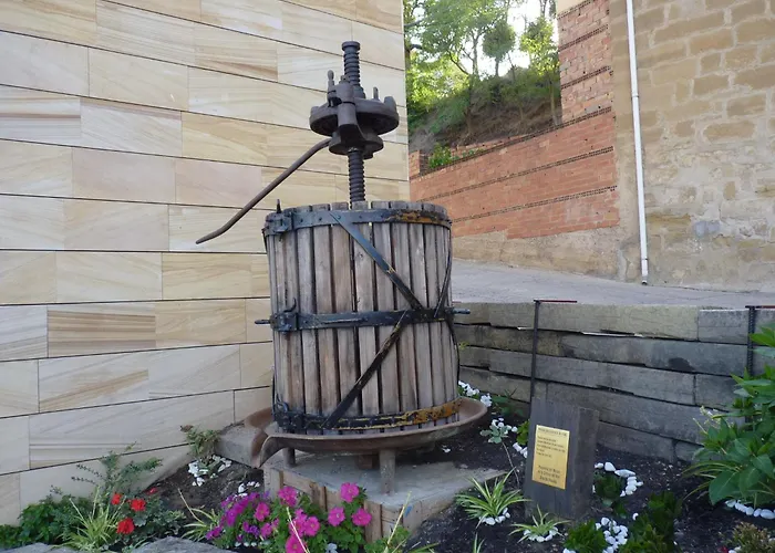 Los Calaos De Briones