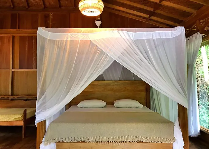 Rambai Tree Jungle Lodges - Family Friendly